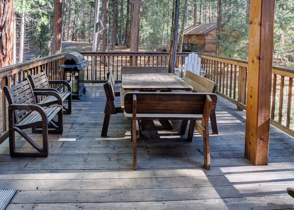 Cabin Twelve