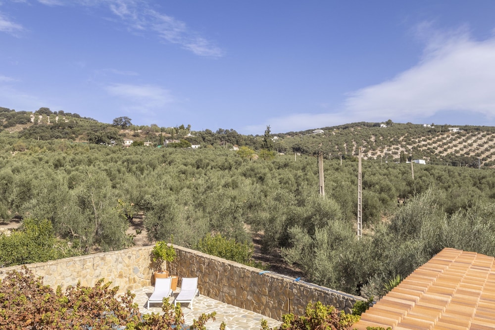 Casa Olivo in Izn jar