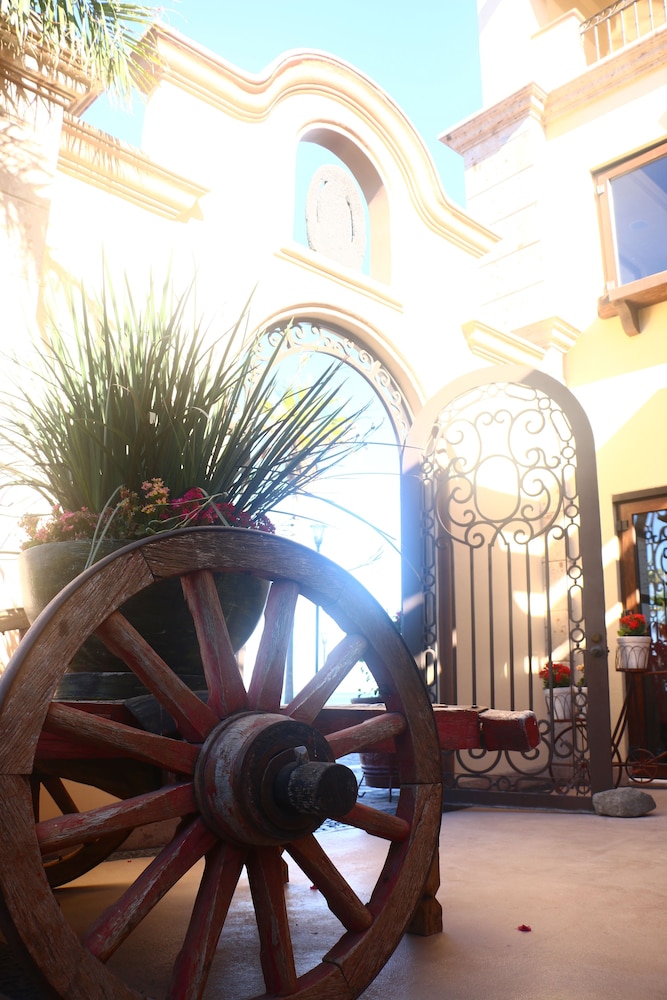 Photo 13