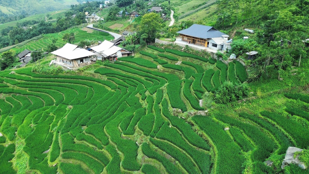 Bees Homestay Sapa & Trekking