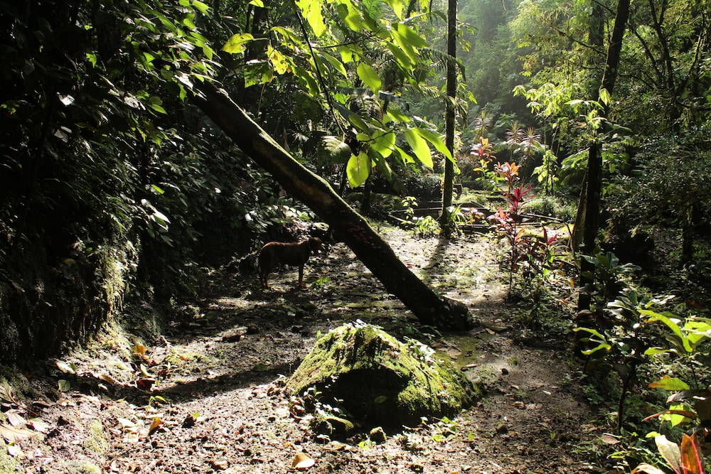 Photo 51