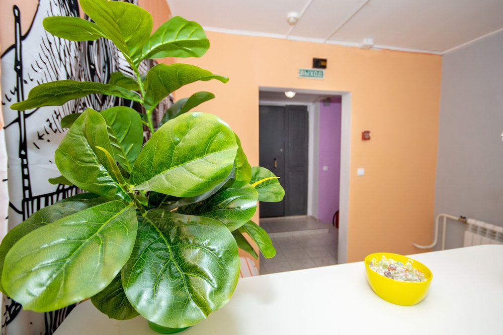 Hostel Plazkart