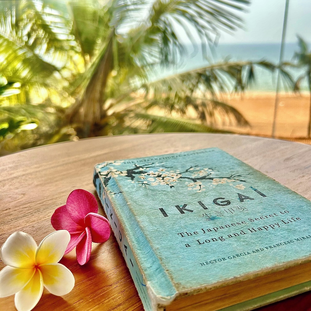 Santa Maria - A Premium Boutique Homestay by the Sea