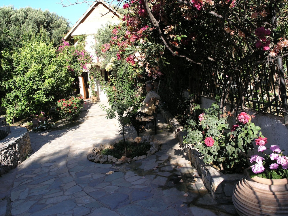 Photo 12