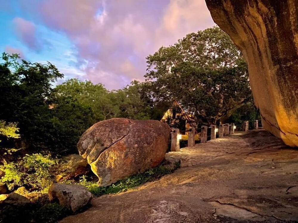 Big Cave Camp - Lodge On The Rocks