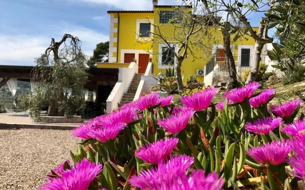Borgo del Nespolo