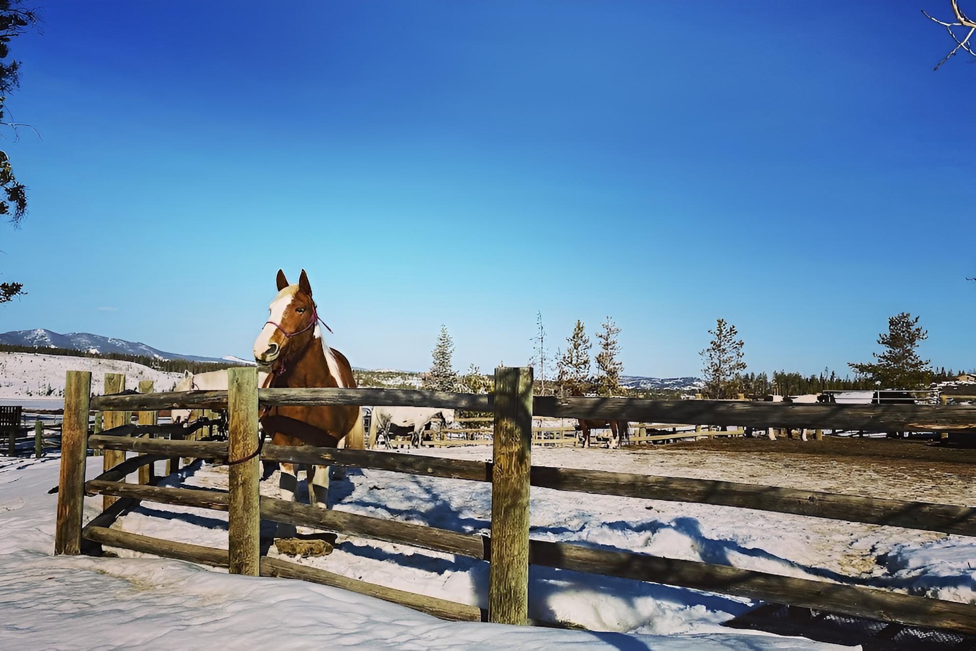 Winter Park Home: Free Ski Shuttle On-site! view 3