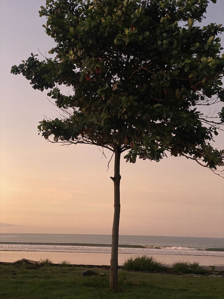 Dikaloha Medewi Surfcamp