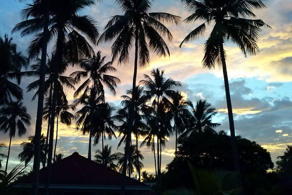 Whispering Palms Island Resort