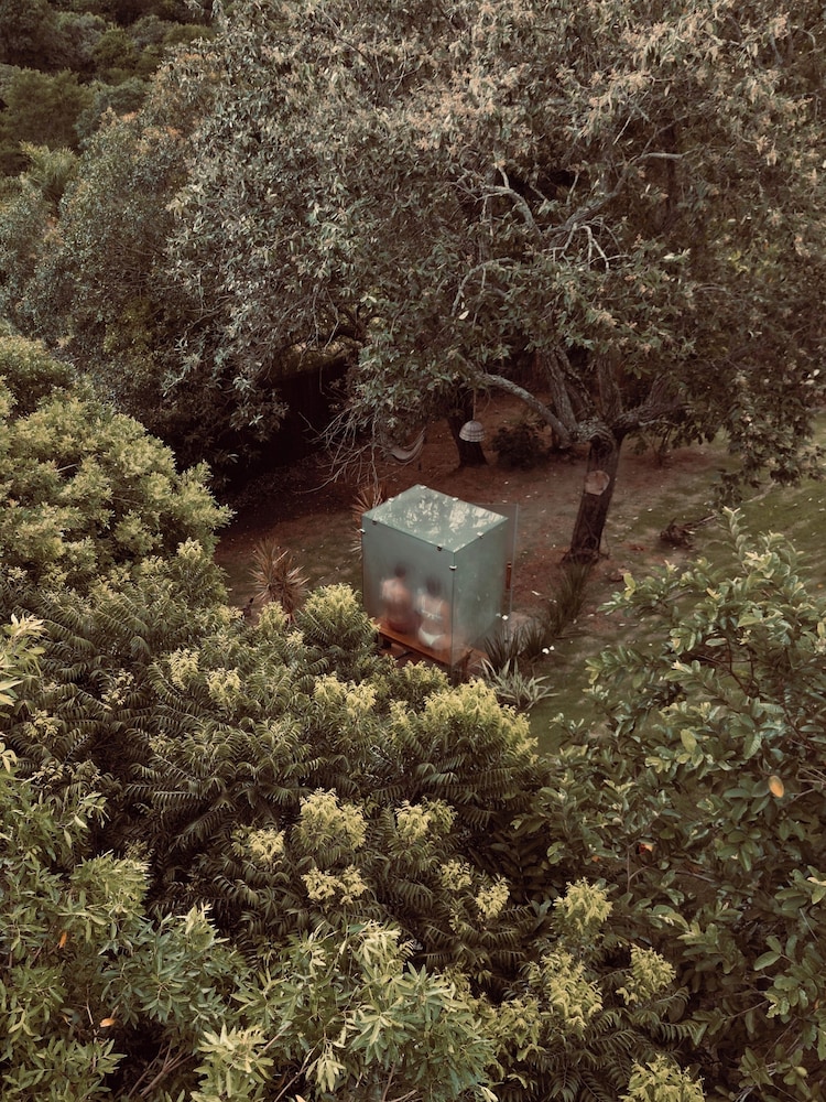 Dila's Lodge