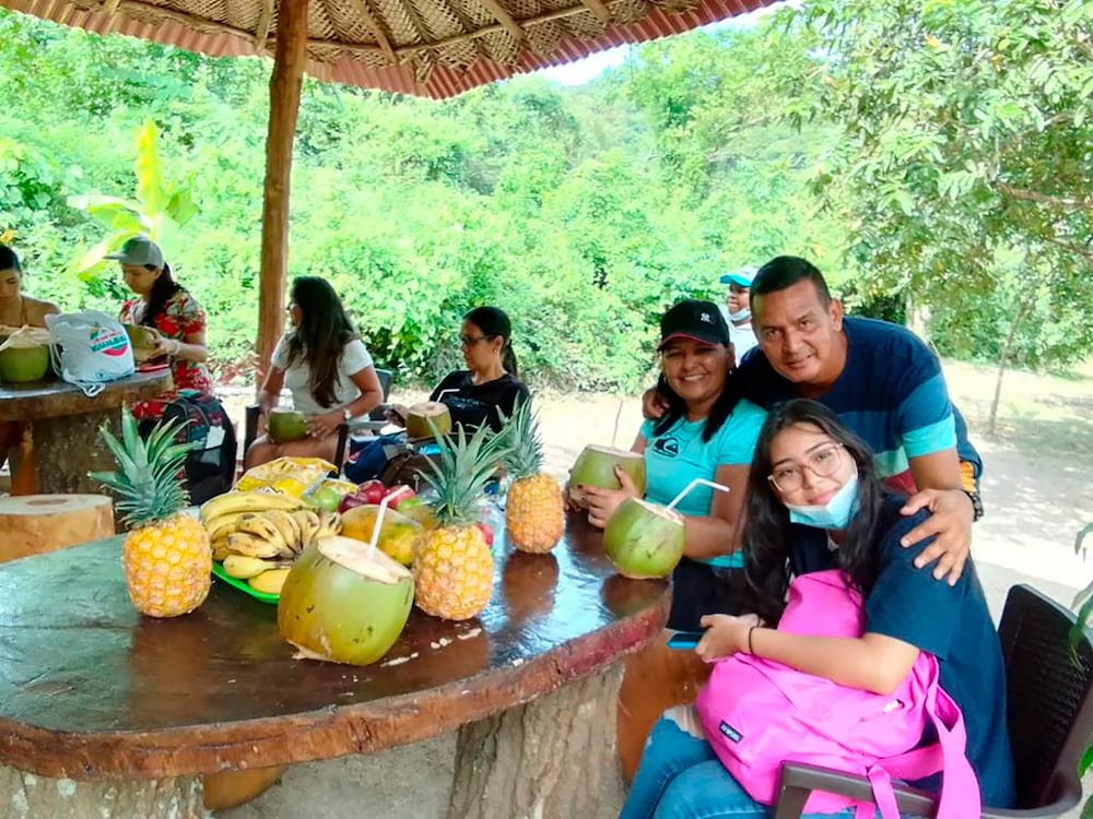 Magic Greeen Tayrona