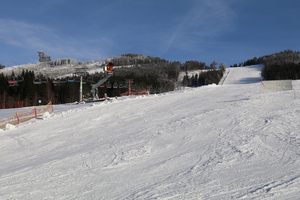 Villa in Dolni Morava Near Ski Slopes