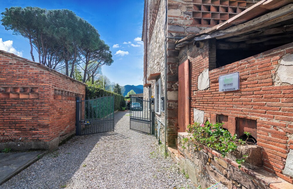 B&B Toringo