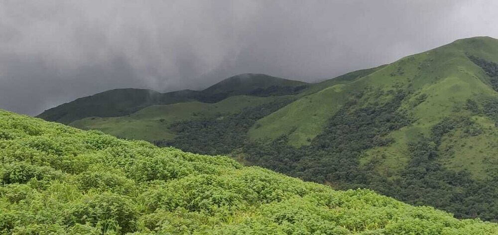 Aavarana Resort