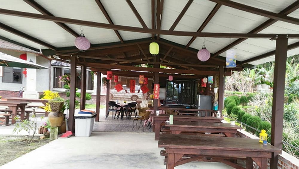 Puli Tenlai