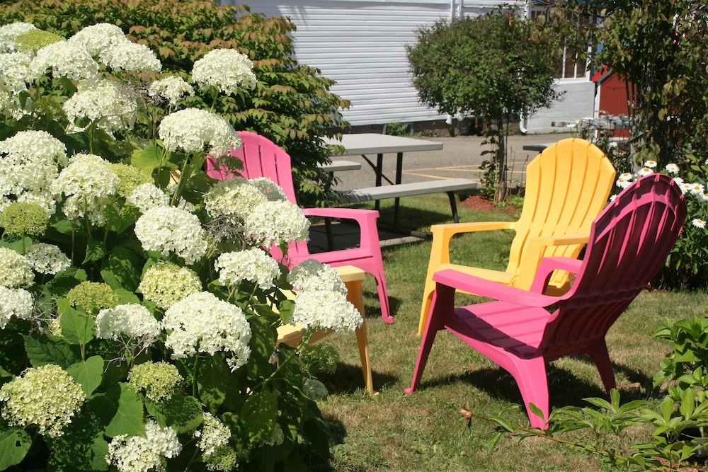 Harmony B&B & Suites