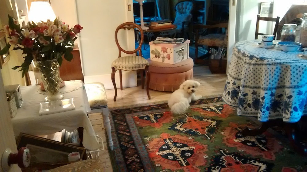 Arts & Bichons B&B