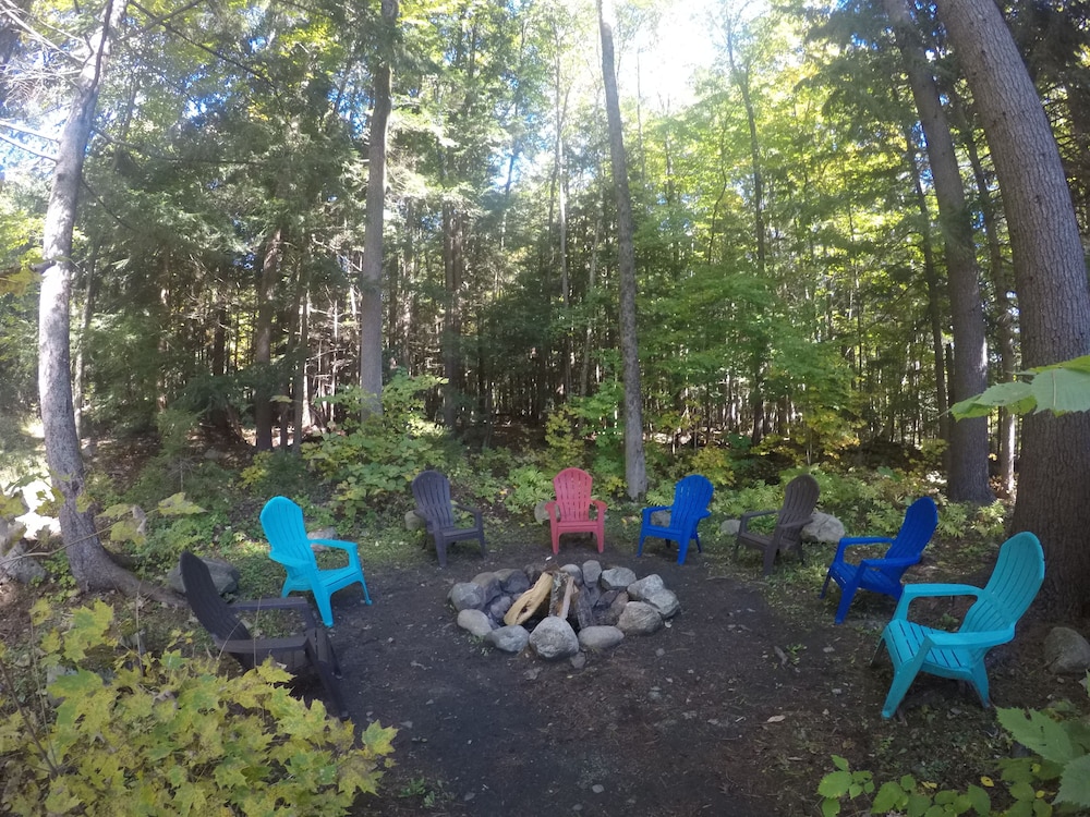 Forest Hill Lodge & Cabins