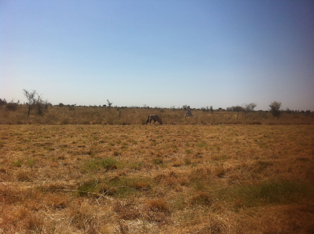 Rakops River Lodge