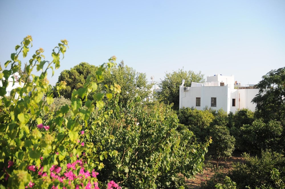 Gulec Otel - Image 41