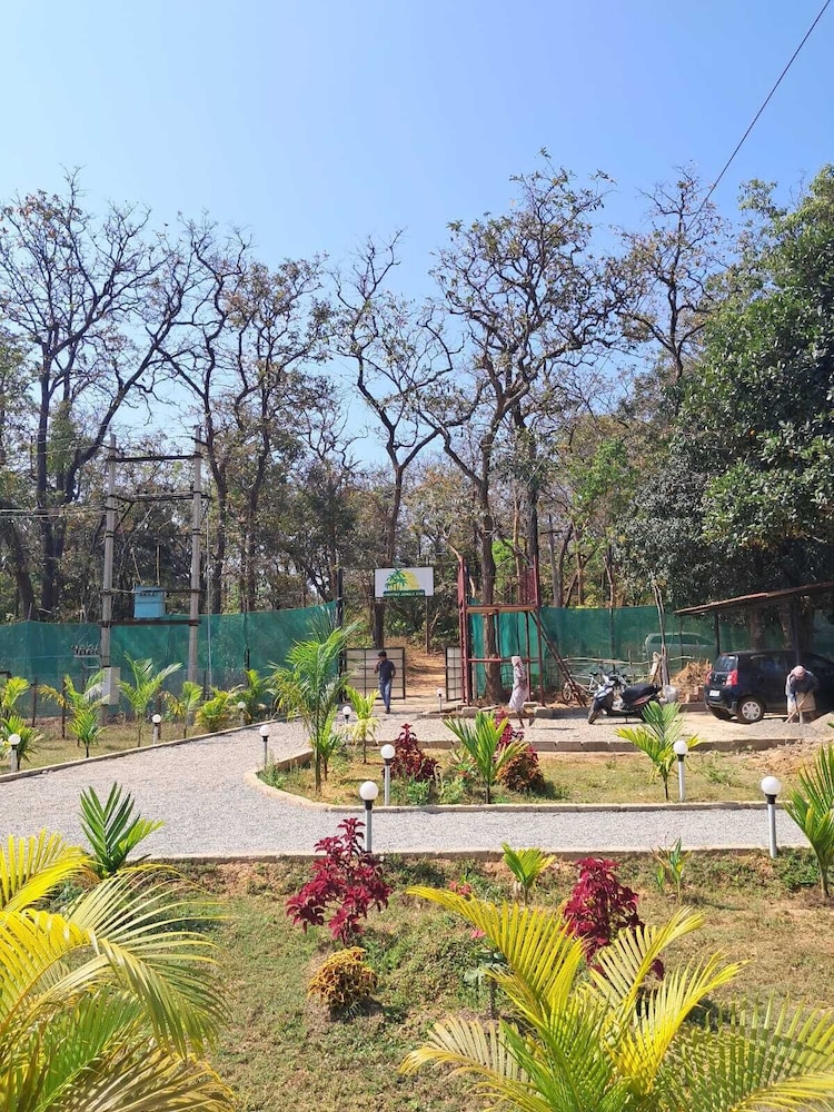 Cheetah Farms Jungle Stay