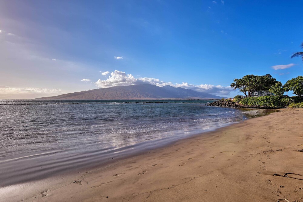 Kihei Condo: Steps to Kalepolepo Beach Park! view 5