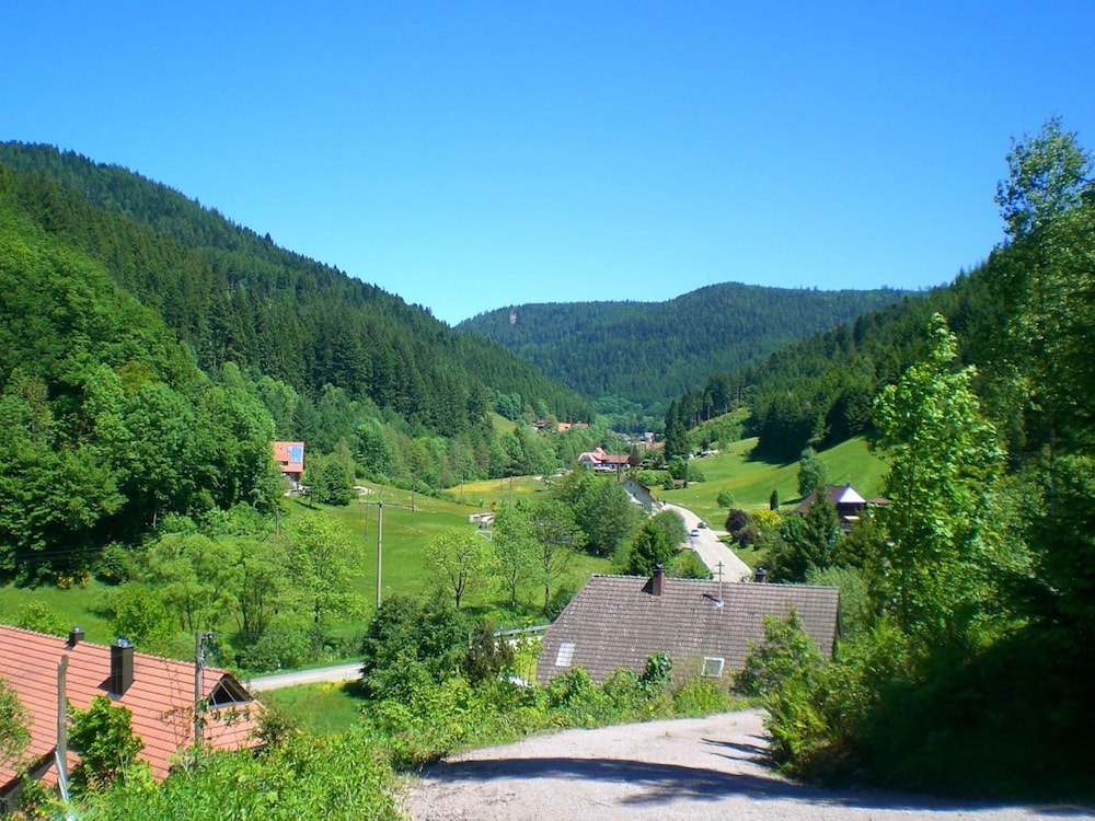 Hideaway Near Black Forest view 4