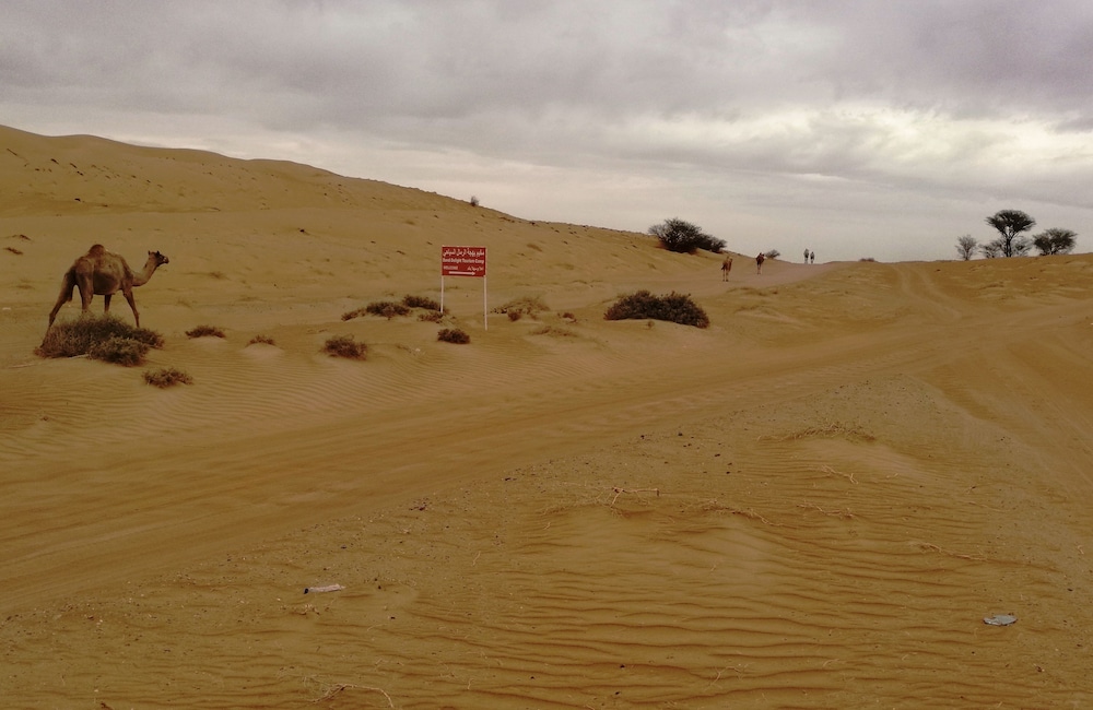 Sand Delight Desert Camp