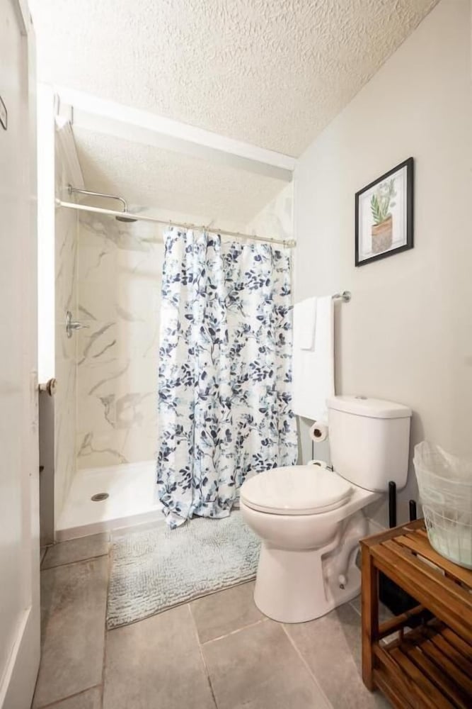 Historic Pet-Friendly Home in Downtown
