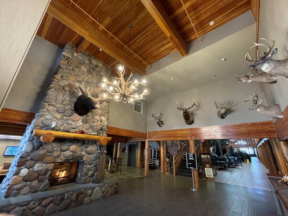 Bozeman Vacations - C'mon Inn Bozeman - Property Image 2
