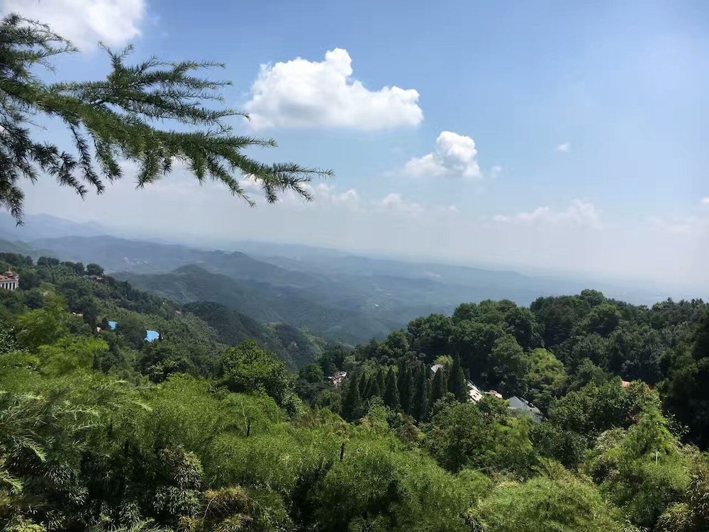 Moganshan Wild House