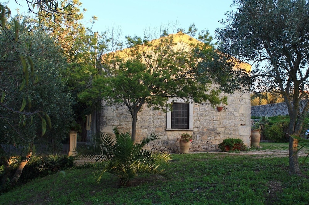 Photo 23