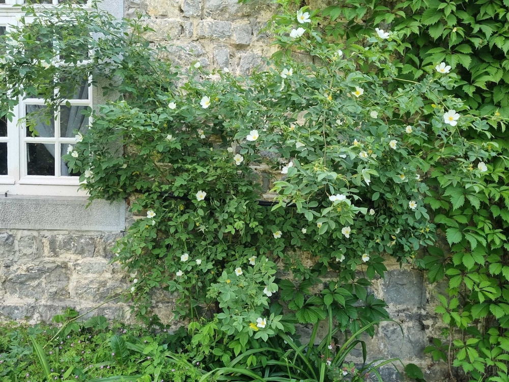 Photo 31