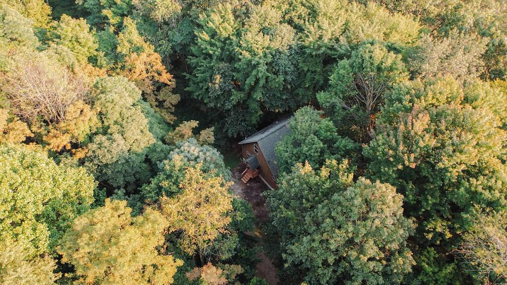 Cheerful Two Bdrm Cabin With Hot Tub & Pet Friendly