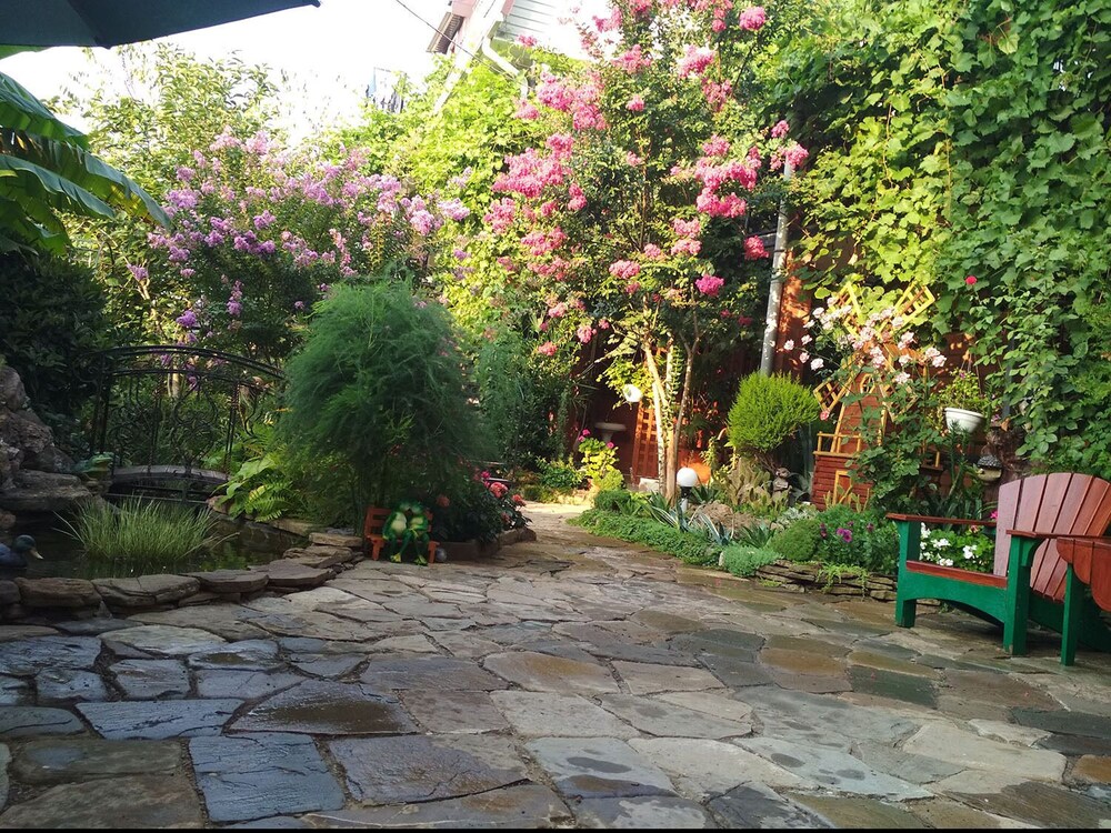 Photo 29