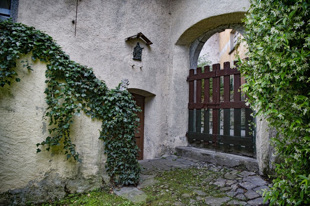 Photo 54