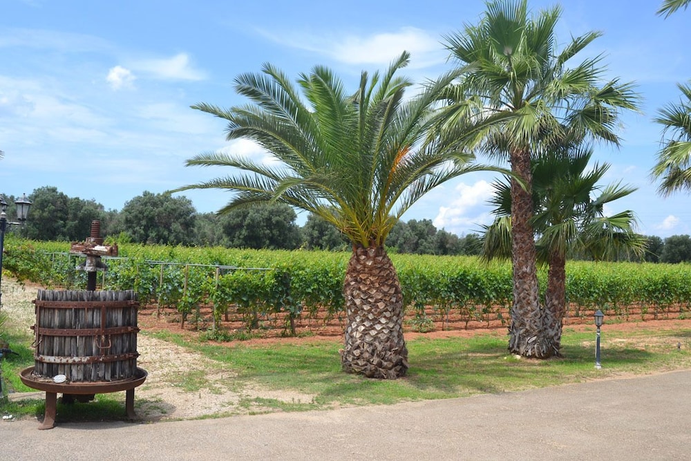 Tenuta Annibale