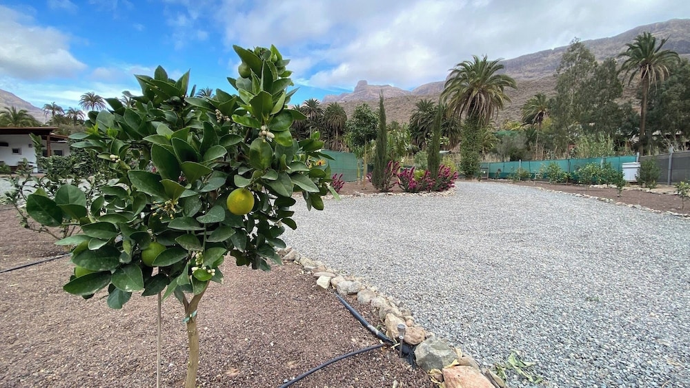 Cosy Country Studio Near Maspalomas and Fataga