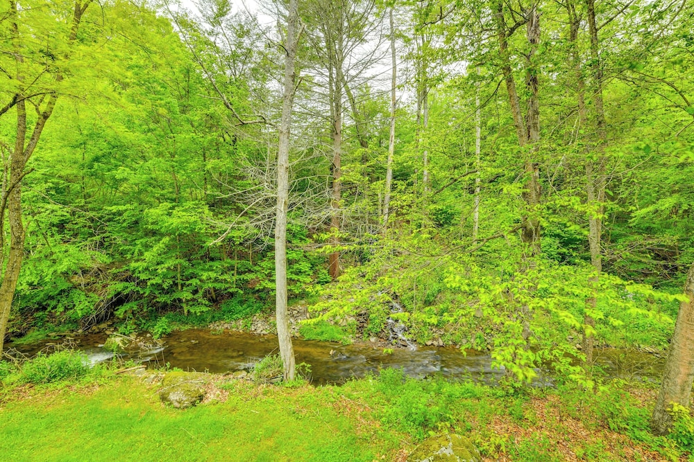 Serene Duplex w/ On-site Brook in Callicoon Center