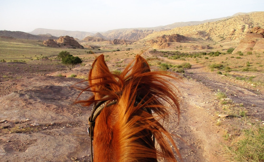 Petra Bed & Breakfast