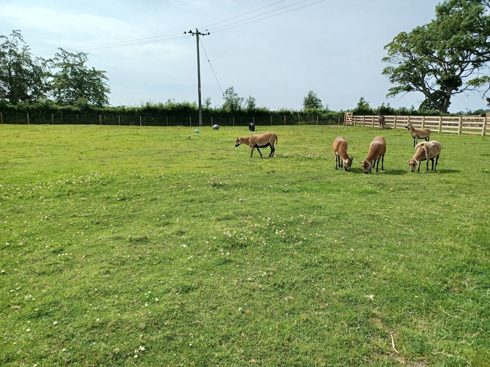 Green View Lodges