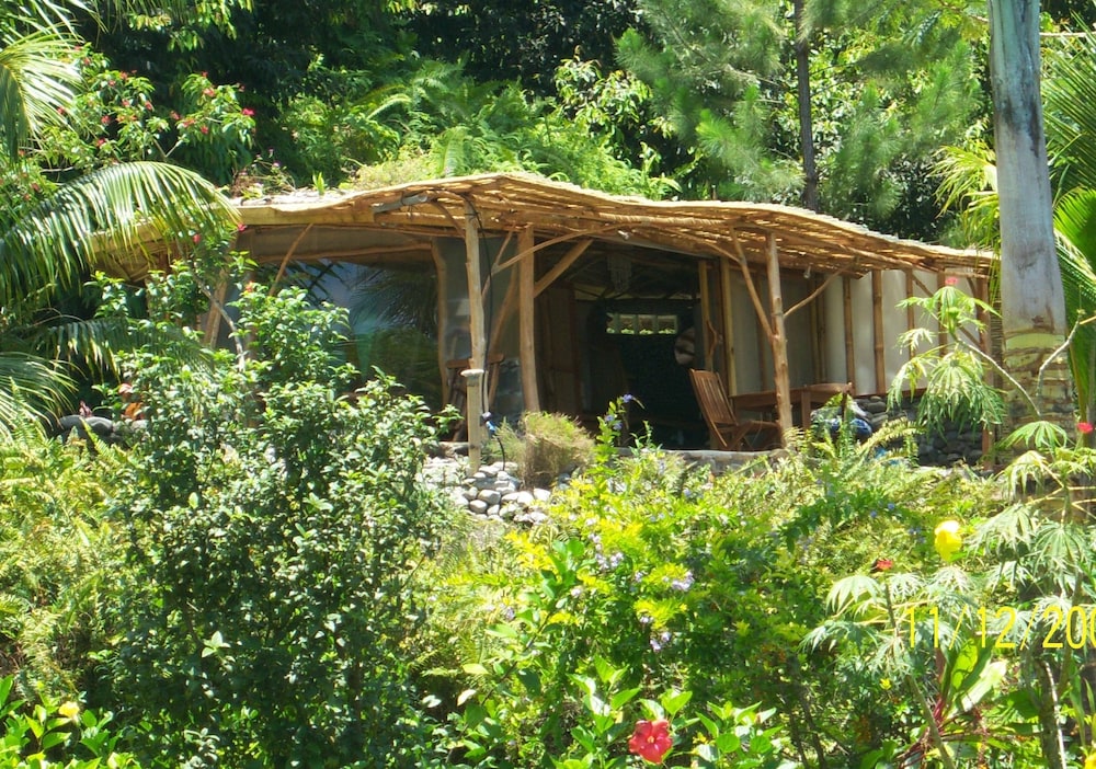 Vanira Lodge