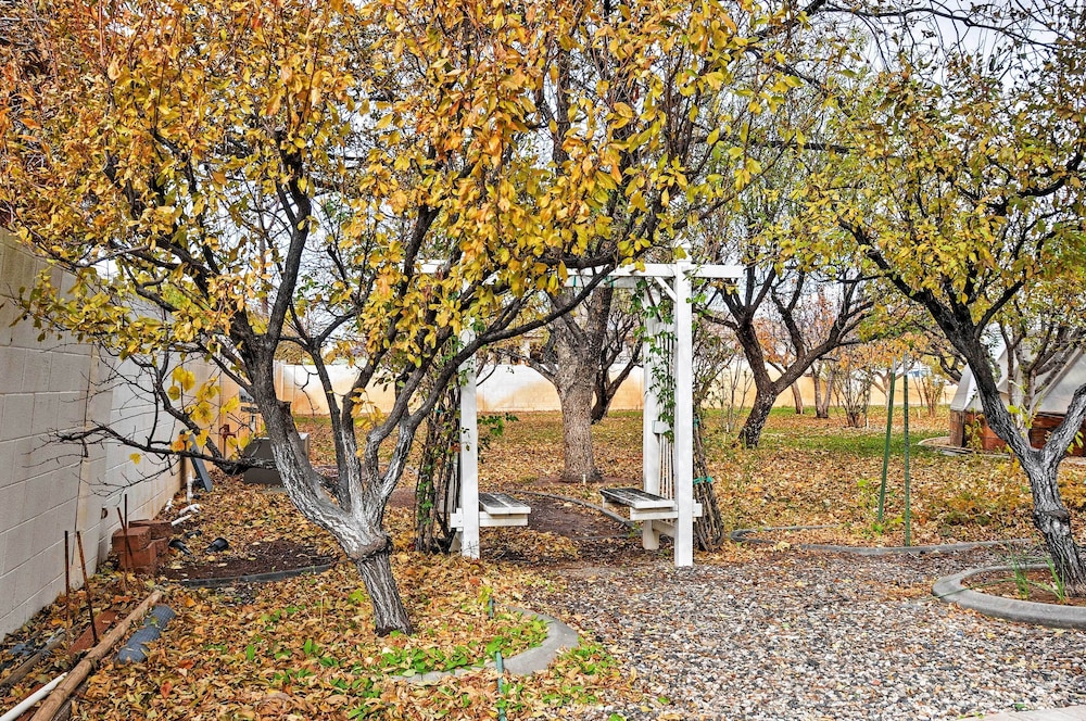 Photo 18
