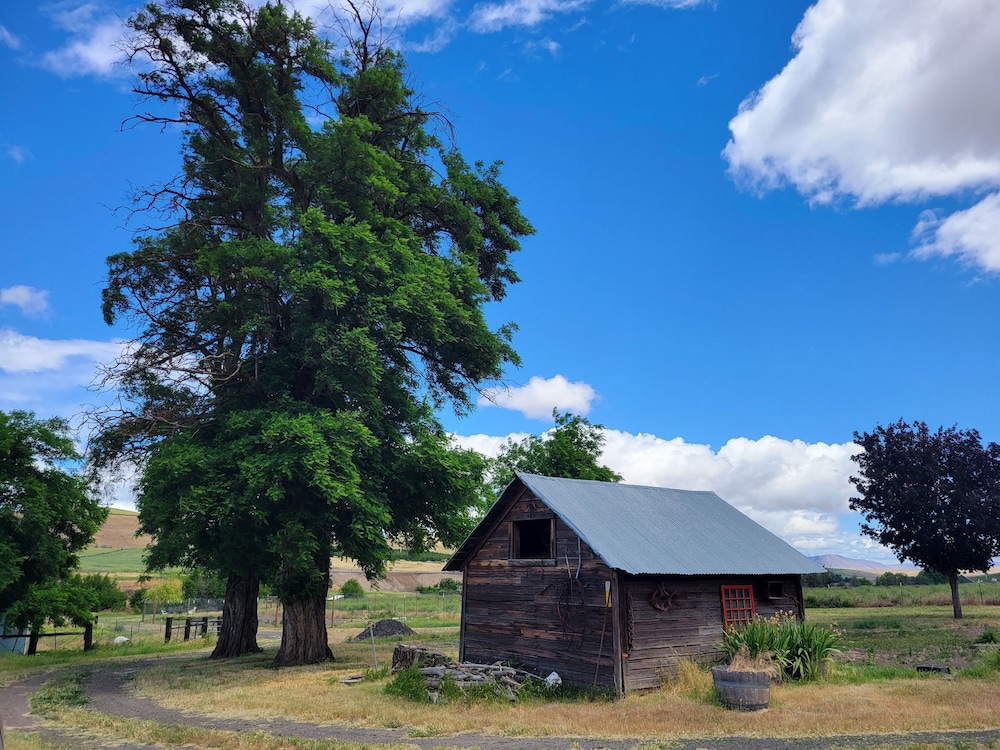 8 Mile Farm B&B