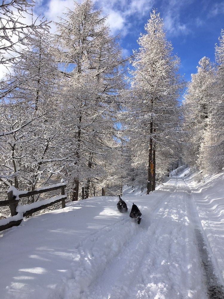 Villa Stelvio Bed & Breakfast
