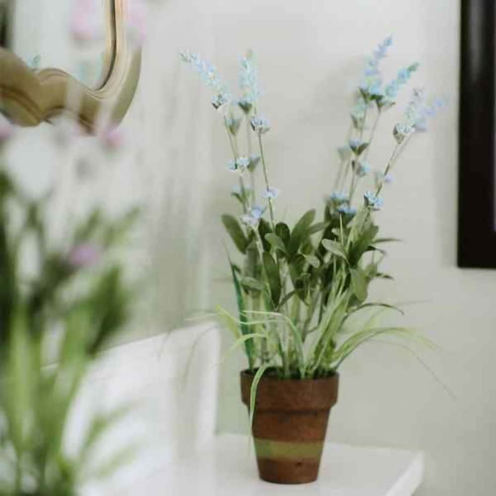 Chestnut Street Inn B&B