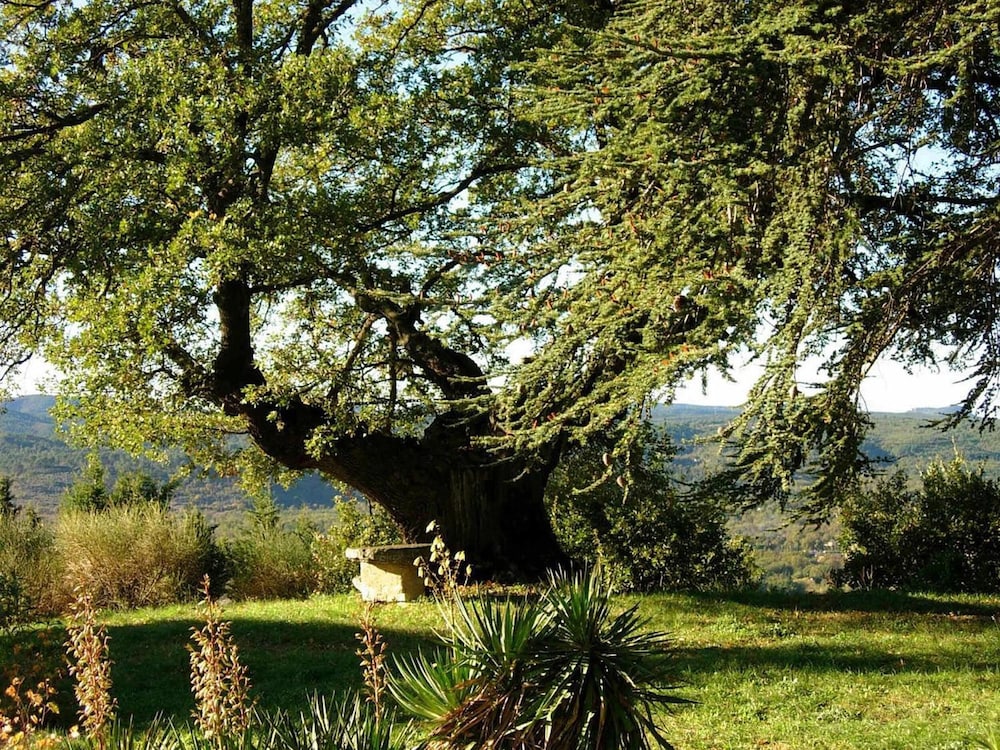 La Chesnaie