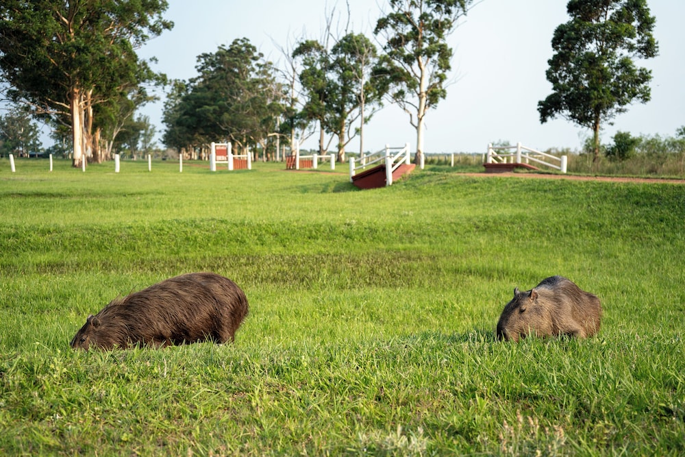 Estancia Iberá