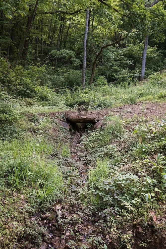 Tiny Home in the Woods Hot Tub 4 Miles to DT Haus 50