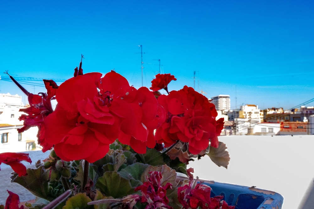 Hi Valencia Cánovas